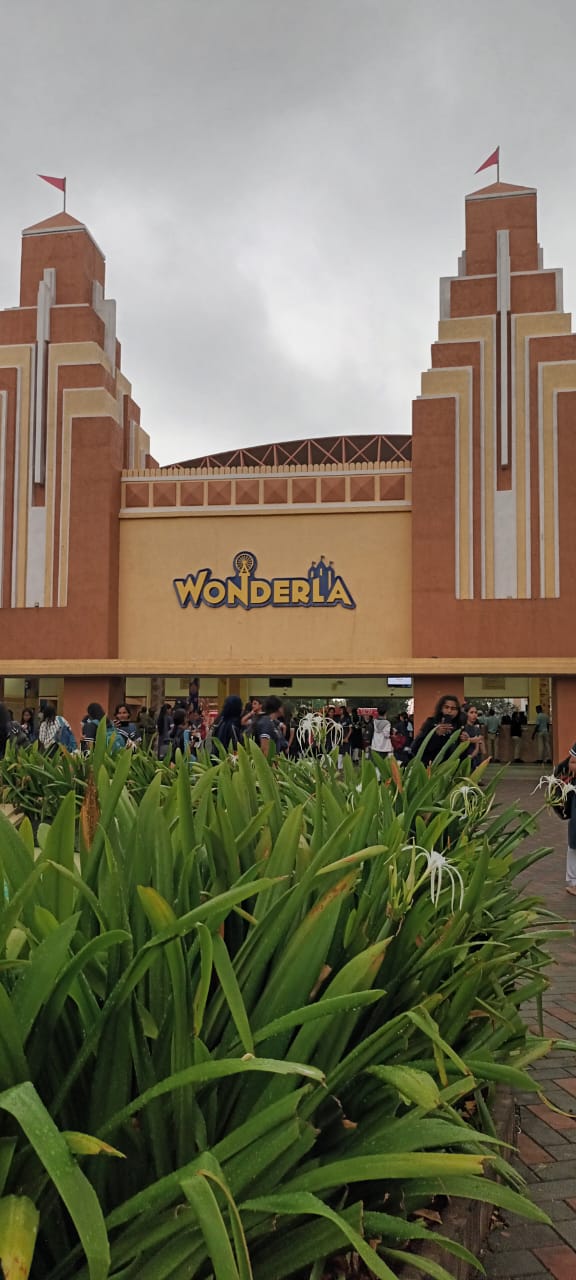 Animated Card Hover Effect Html & CSS